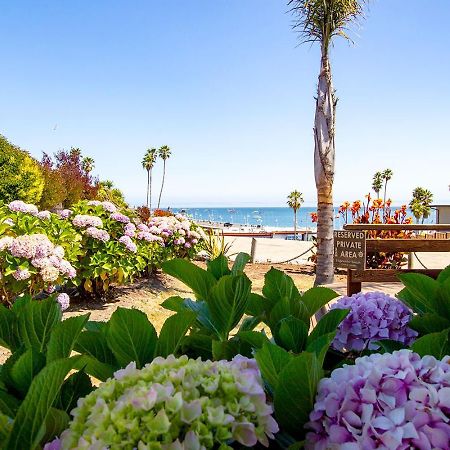 סנטה קרוז Edgewater Beach Inn מראה חיצוני תמונה